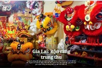 Gia Lai youth keep mid-autumn lion dance traditions alive