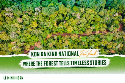 Kon Ka Kinh National Park: Where the Forest Tells Its Story Through Every Breath