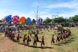 Gia Lai hosts 2025 Chư Đang Ya wild sunflower and volcano festival 