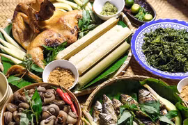 Delicacies from forests of Tơ Tung: Bahnar cuisine preserves ancient wisdom