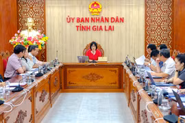 View of the meeting. Photo: Doan Ngoc