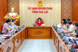 View of the meeting. Photo: Doan Ngoc