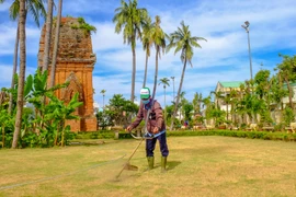 Clearing grass, cleaning, and tidying up the grounds of the Twin Towers relic site. Photo: Ngoc Nhuan