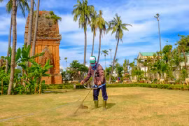 Clearing grass, cleaning, and tidying up the grounds of the Twin Towers relic site. Photo: Ngoc Nhuan