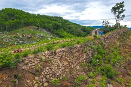 Gia Lai moves to conserve and promote historic Truong Luy monument