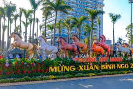 The Bính Ngọ zodiac animal display from Quy Nhơn Ward is set up at Victory Square. Photo: Dũng Nhân