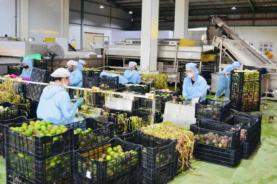 Developing Green Industrial Parks Towards an Ecological Model