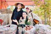 Processing to Enhance the Value of Sweet Potatoes