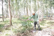 Preserving Green Spaces for the Land, Securing Livelihoods for the People