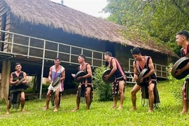 Lâm Đồng to host Southeast Asia Gong harmony