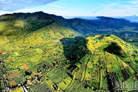 The beauty of Chu Dang Ya volcano attracts many visitors.
