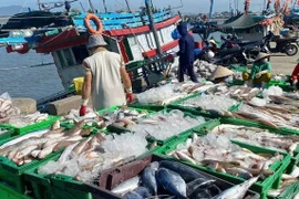 A diverse catch of seafood is displayed after the first fishing expedition of the year.
