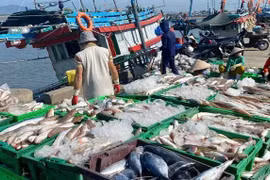 A diverse catch of seafood is displayed after the first fishing expedition of the year.