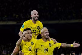 The Football Association of Malaysia (FAM) has been fined, and seven naturalized players have been banned.