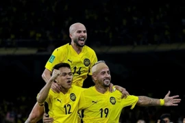 The Football Association of Malaysia (FAM) has been fined, and seven naturalized players have been banned.