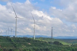 A wind power plant in Gia Lai Province. 