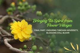 Preserving the Spirit of Tet in Traditional Flower Villages