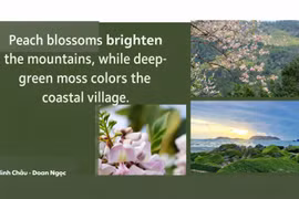 Wild apricot blossoms brighten the mountains, while lush green moss adorns the coastal villages.