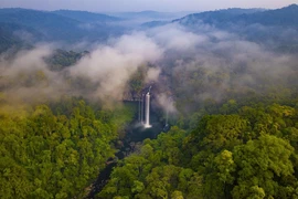 K50 Waterfall in Vietnam’s Central Highland, a truly heaven on Earth Photo: Zing News