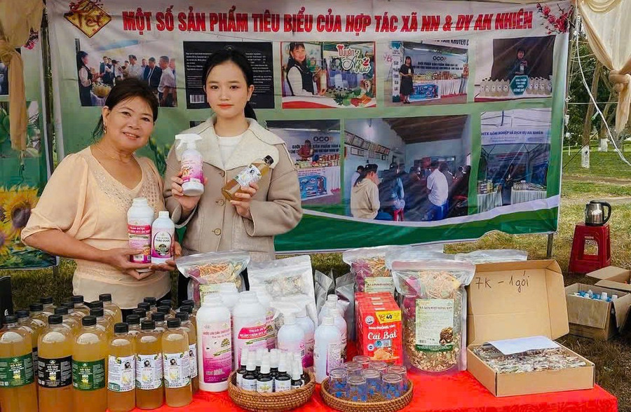 An Nhiên Cooperative (Chư Krey commune) aims to enhance and expand its brand in the near future. Photo: An Nhien Cooperative vai-tro-phu-nu.jpg