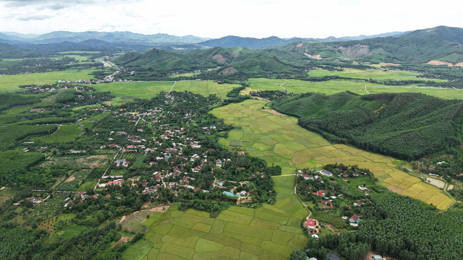 Ân Tường has favorable land and climate conditions for developing wet rice, citrus fruits, and large-scale forestry. Photo: Thanh Sáng an-tuong-co-dat-dai-va-khi-hau-thuan-loi-de-phat-trien-cay-lua-nuoc-cay-an-qua-co-mui-trong-rung-go-lon.jpg