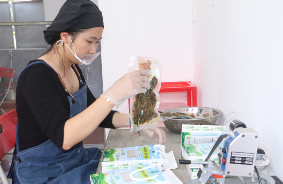 “Gà xanh Giang Nguyên” is gradually establishing its market presence. Photo: Quang Tấn ga-xanh-giang-nguyen-dang-tung-buoc-tao-cho-dung-tren-thi-truong-anh-quang-tan.jpg