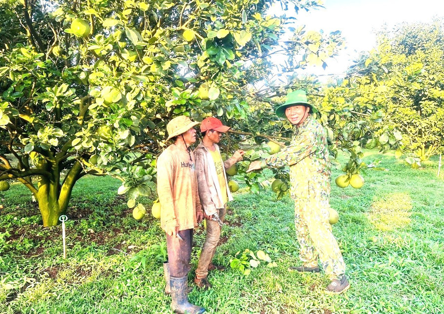 Veteran Nguyễn Ngọc Tuyến (right) at his family’s farm. Photo: P.D 2.jpg