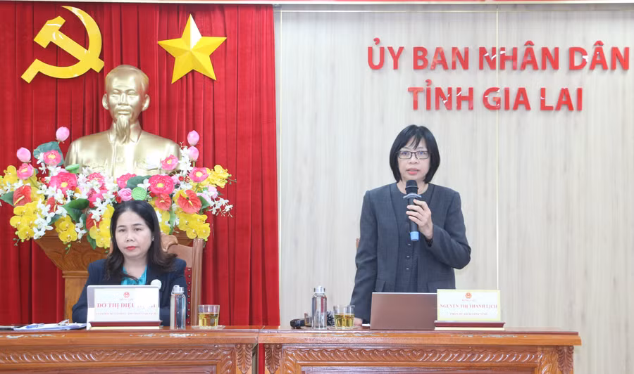 pho-chu-tich-ubnd-tinh-nguyen-thi-thanh-lich-phat-bieu-tai-buoi-gap-mat.jpg