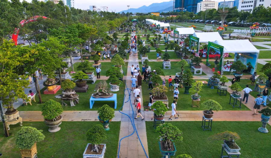 quang-truong-quy-nhon.jpg