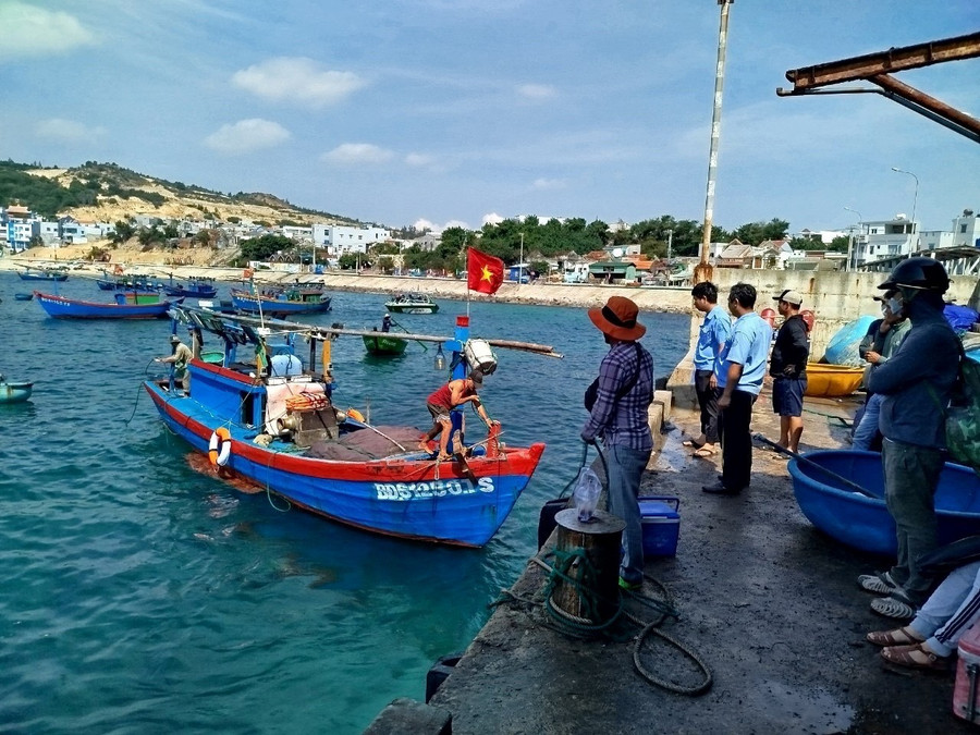 Coastal localities are tightening management and taking firm action against fishing vessels violating IUU regulations. Photo: N.N bao-ve-thuy-san.jpg