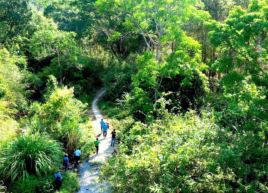 Kon Ka Kinh National Park is a vital nature reserve with a rich and diverse ecosystem, attracting nature lovers and researchers alike. Photo: Đức Thụy vuon-quoc-gia.jpg
