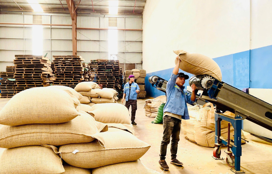 An Phú Ward is home to 329 businesses and cooperatives, including large-scale enterprises with high export value such as Vĩnh Hiệp Co., Ltd. Photo: Vũ Thảo phuong-an-phu.jpg