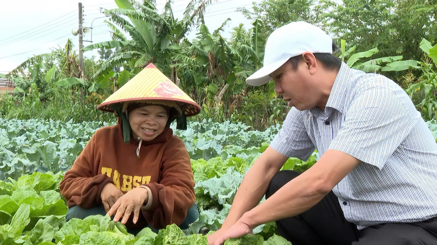 Economic Department's officials of Vĩnh Sơn commune visit Ms. Đinh Thị Boi’s temperate vegetable model. Photo: Đ.T can-bo-kinh-te.jpg