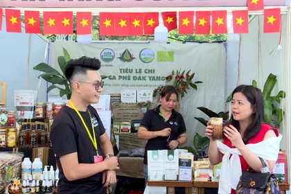 Launch of the "Weekend Session Space: Coffee & Gia Lai Culture"