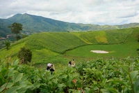 Chu Dang Ya volcano: A stunning jewel among the world’s most beautiful craters