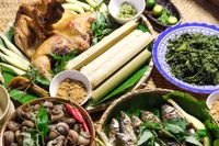 Delicacies from forests of Tơ Tung: Bahnar cuisine preserves ancient wisdom