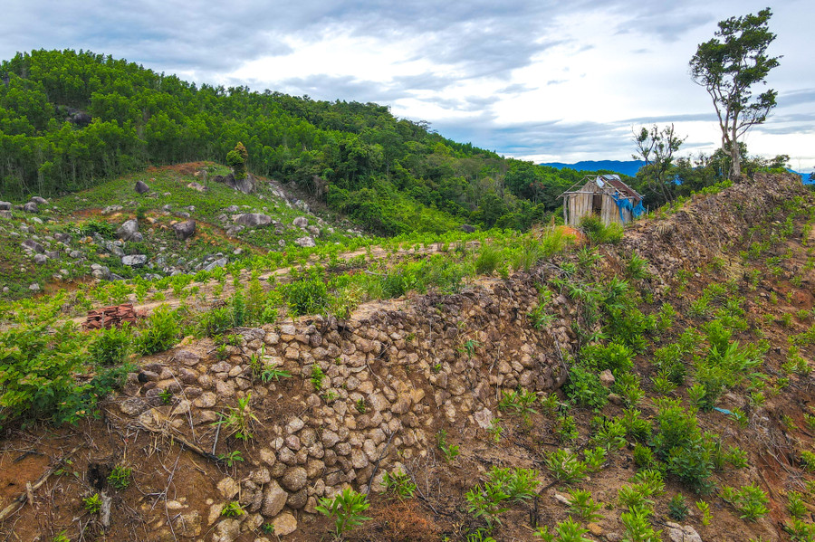 The Trường Lũy heritage site in Gia Lai holds significant historical and cultural value. Photo: Ngọc Nhuận dji-0120.jpg