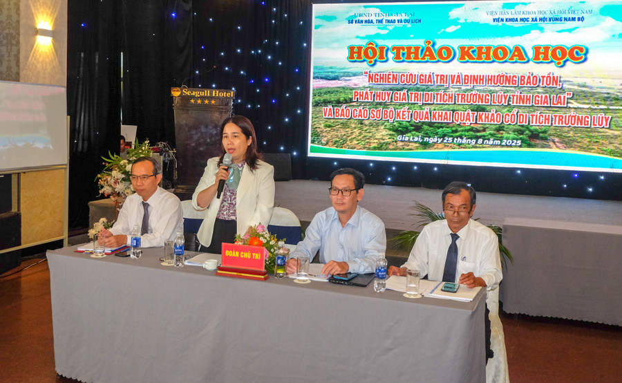 Director of the Department of Culture, Sports and Tourism Đỗ Thị Diệu Hạnh speaking at the conference. Photo: Ngọc Nhuận dscf3187.jpg