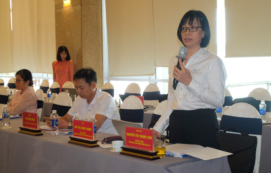 Vice Chairwoman of the Provincial People’s Committee Nguyễn Thị Thanh Lịch speaking at the conference. Photo: Ngọc Nhuận dscf3179.jpg