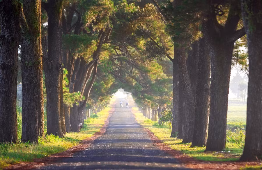 anh-minh-hoa-nguyen-linh-vinh-quoc.jpg