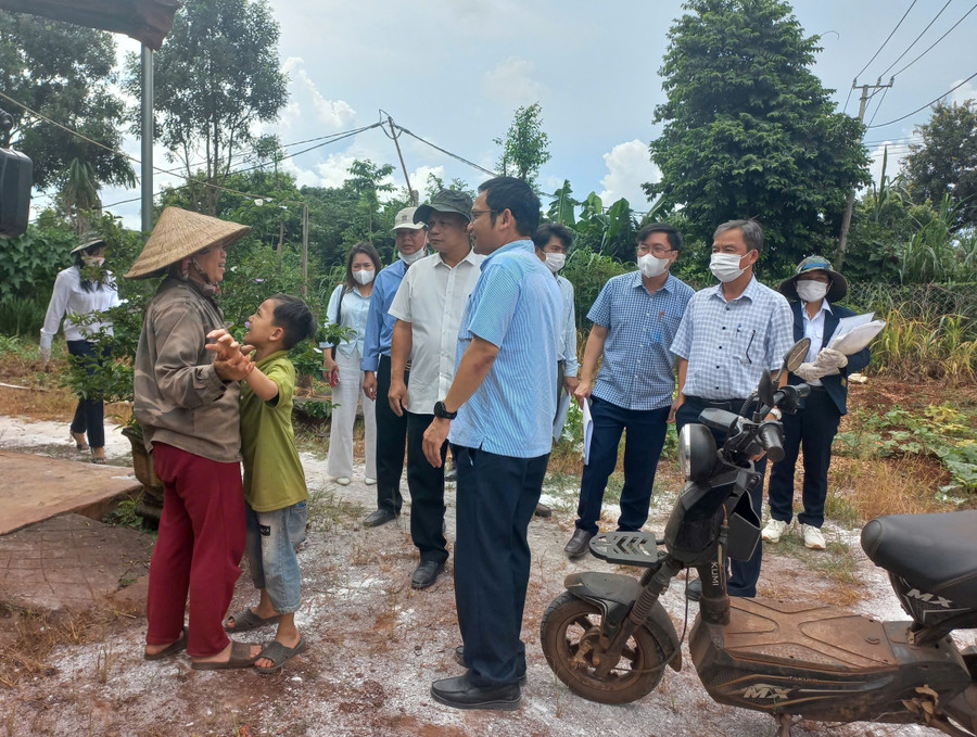 Provincial authorities advise pig farmers in western communes to continue strengthening measures to protect against and prevent African swine fever. Photo: A.N 7681acbcd1ab5af503ba.jpg
