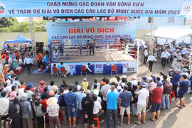 The Muay boxing ring has been set up in the Đại Đoàn Kết Square area.