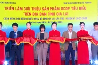 Vice Chairwoman of the Provincial People's Committee Nguyễn Thị Thanh Lịch (fourth from the left) and other delegates cut the ribbon to open the exhibition. Photo: Huy Toàn