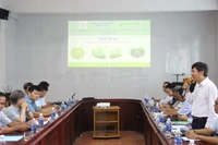 Vietnam pilots water-saving irrigation model to cut rice emissions