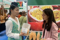 Enterprises from Gia Lai participated in the 20th China-ASEAN Expo (CAEXPO 2023). Photo: Provided by the Organizing Committee
