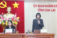 Press conference held ahead of the series of events marking the Opening of National Tourism Year – Gia Lai 2026.