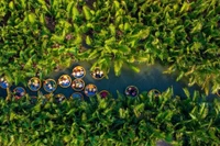 Vietnamese Village Ranked Among the World's 20 Most Beautiful