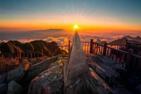 Vietnam Captivates International Tourists