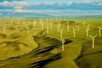 Developing Renewable Energy in Tandem with Green Growth