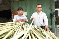 Revitalizing traditional crafts